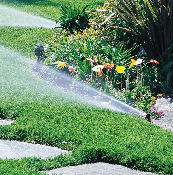 Landscape & Irrigation System Maintenance